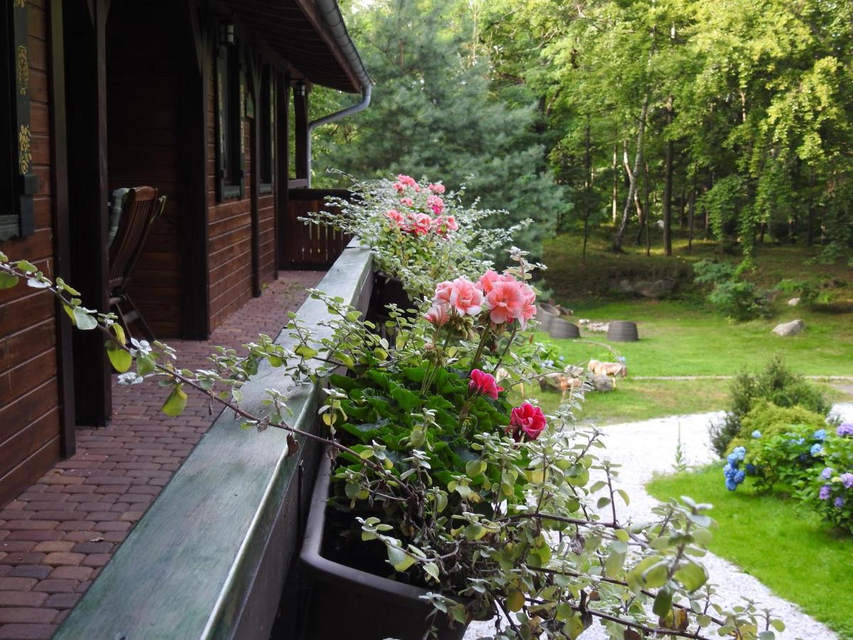 Country house Za Siodma Gora Zachelmie (Jelenia Gora)