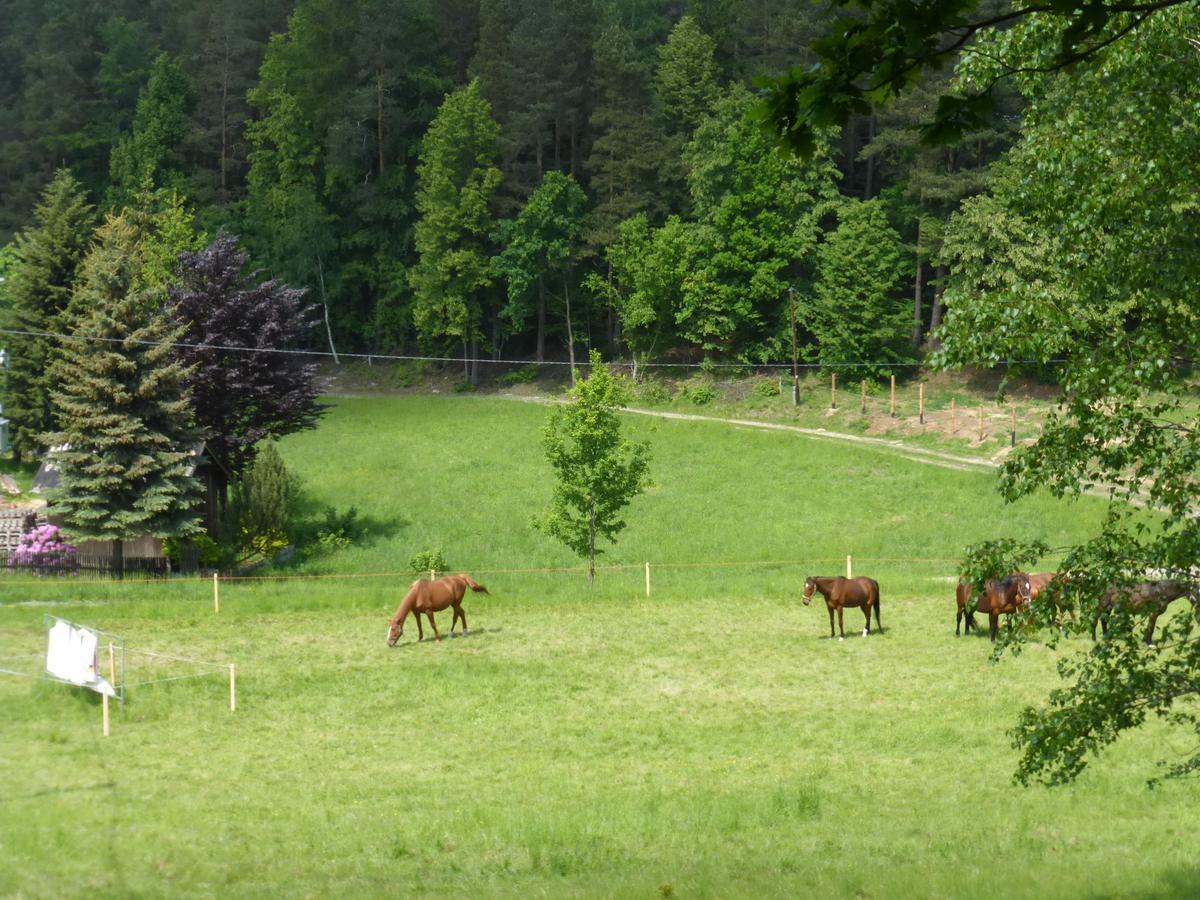 Za Siodma Gora Zachelmie (Jelenia Gora)